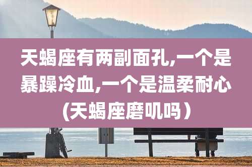 天蝎座有两副面孔,一个是暴躁冷血,一个是温柔耐心(天蝎座磨叽吗)