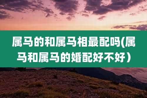 属马的和属马相最配吗(属马和属马的婚配好不好）