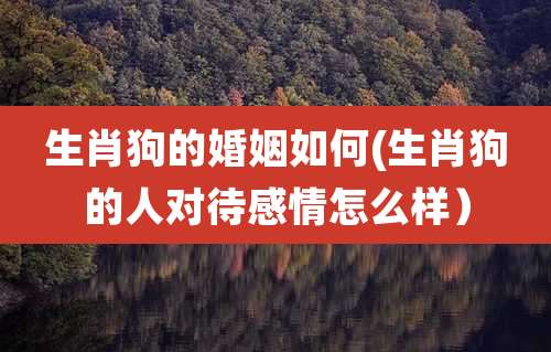 生肖狗的婚姻如何(生肖狗的人对待感情怎么样）