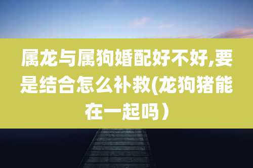 属龙与属狗婚配好不好,要是结合怎么补救(龙狗猪能在一起吗)