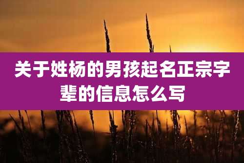 关于姓杨的男孩起名正宗字辈的信息怎么写