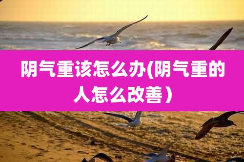 阴气重该怎么办(阴气重的人怎么改善)