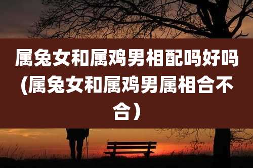 属兔女和属鸡男相配吗好吗(属兔女和属鸡男属相合不合)