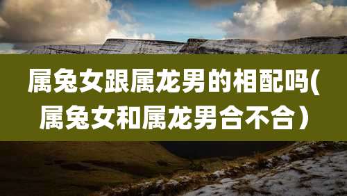 属兔女跟属龙男的相配吗(属兔女和属龙男合不合）