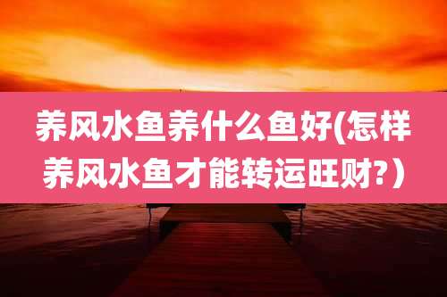 养风水鱼养什么鱼好(怎样养风水鱼才能转运旺财?)