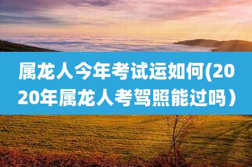 属龙人今年考试运如何(2020年属龙人考驾照能过吗)