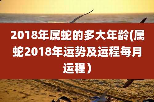 2018年属蛇的多大年龄(属蛇2018年运势及运程每月运程)