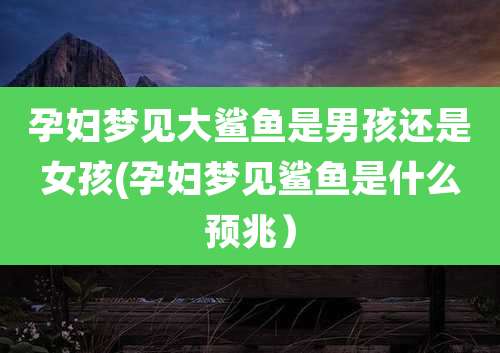 孕妇梦见大鲨鱼是男孩还是女孩(孕妇梦见鲨鱼是什么预兆)