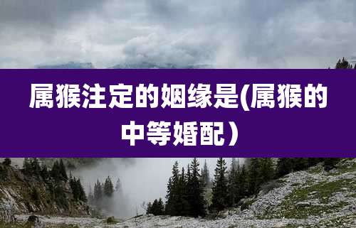 属猴注定的姻缘是(属猴的中等婚配）