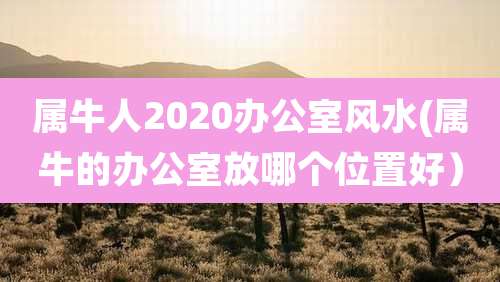 属牛人2020办公室风水(属牛的办公室放哪个位置好）