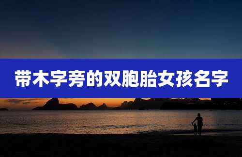带木字旁的双胞胎女孩名字