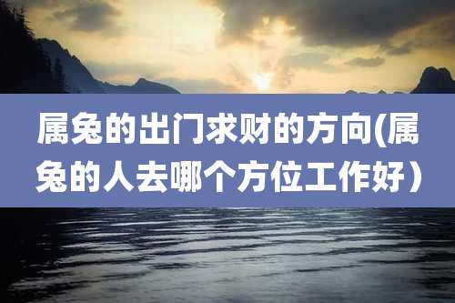 属兔的出门求财的方向(属兔的人去哪个方位工作好)