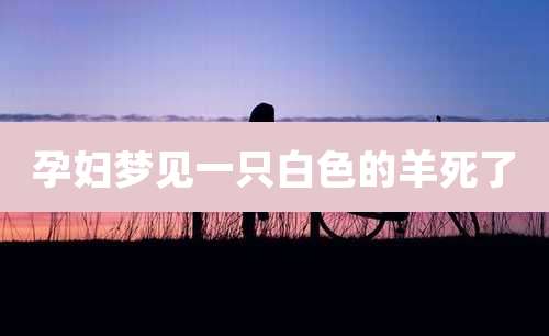 孕妇梦见一只白色的羊死了