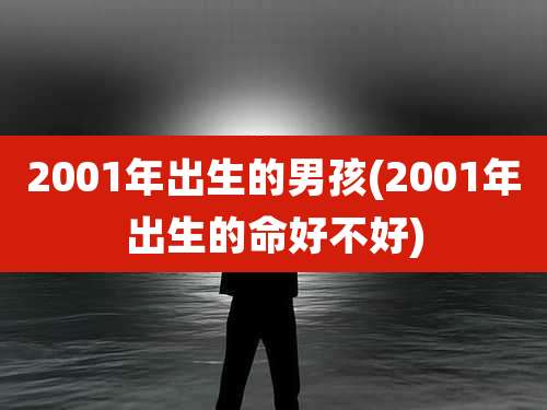 2001年出生的男孩(2001年出生的命好不好)