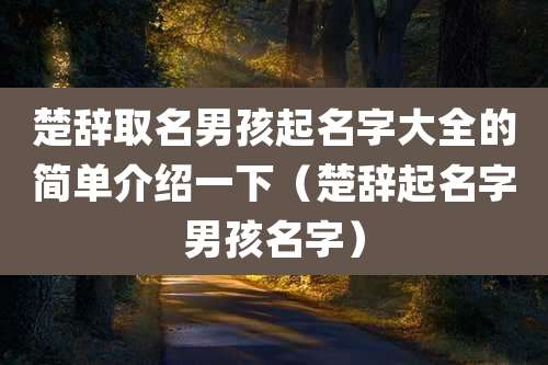 楚辞取名男孩起名字大全的简单介绍一下（楚辞起名字男孩名字）