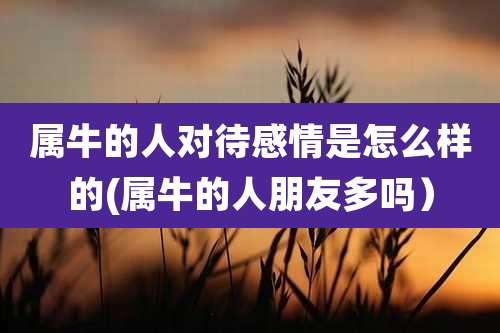 属牛的人对待感情是怎么样的(属牛的人朋友多吗)