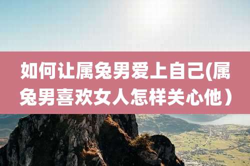 如何让属兔男爱上自己(属兔男喜欢女人怎样关心他)