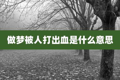 做梦被人打出血是什么意思