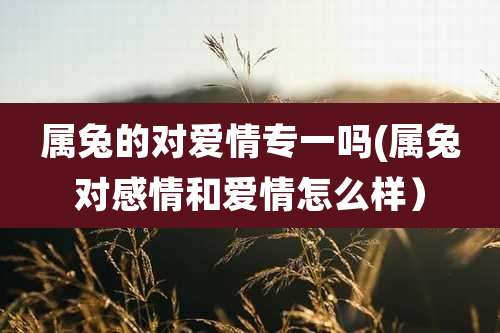 属兔的对爱情专一吗(属兔对感情和爱情怎么样）