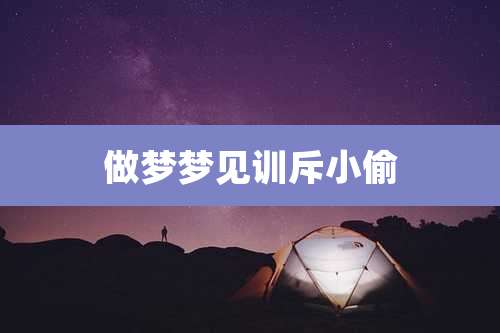 做梦梦见训斥小偷