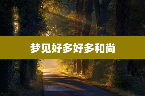 梦见好多好多和尚