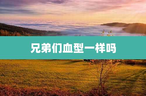兄弟们血型一样吗