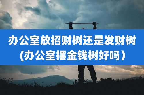 办公室放招财树还是发财树(办公室摆金钱树好吗）
