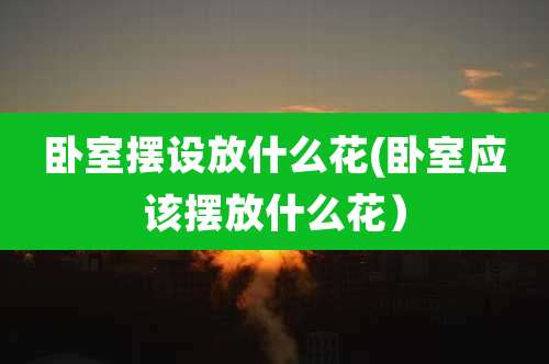 卧室摆设放什么花(卧室应该摆放什么花)