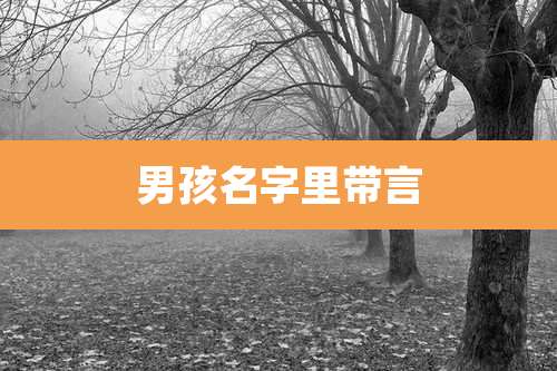 男孩名字里带言