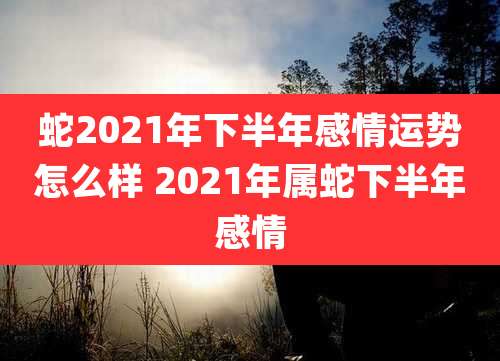蛇2021年下半年感情运势怎么样 2021年属蛇下半年感情