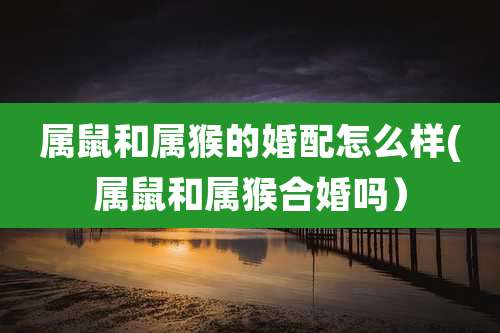 属鼠和属猴的婚配怎么样(属鼠和属猴合婚吗）