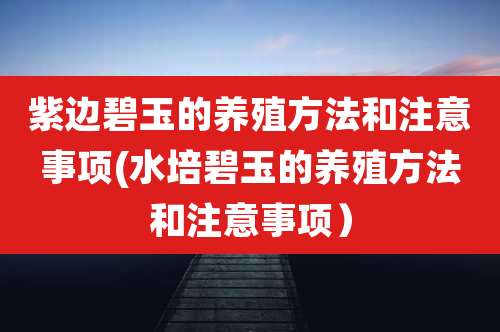 紫边碧玉的养殖方法和注意事项(水培碧玉的养殖方法和注意事项)