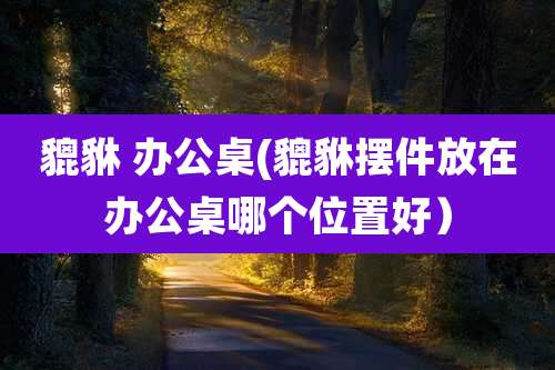 貔貅 办公桌(貔貅摆件放在办公桌哪个位置好)