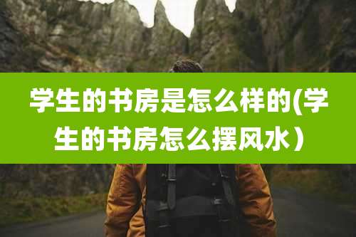 学生的书房是怎么样的(学生的书房怎么摆风水)