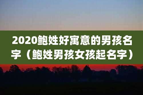 2020鲍姓好寓意的男孩名字（鲍姓男孩女孩起名字）