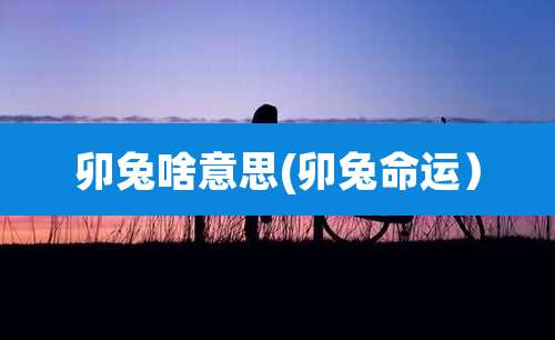 卯兔啥意思(卯兔命运)