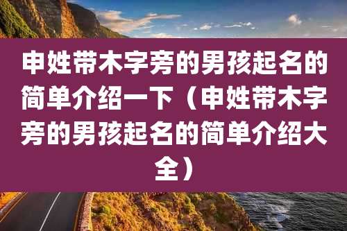 申姓带木字旁的男孩起名的简单介绍一下（申姓带木字旁的男孩起名的简单介绍大全）