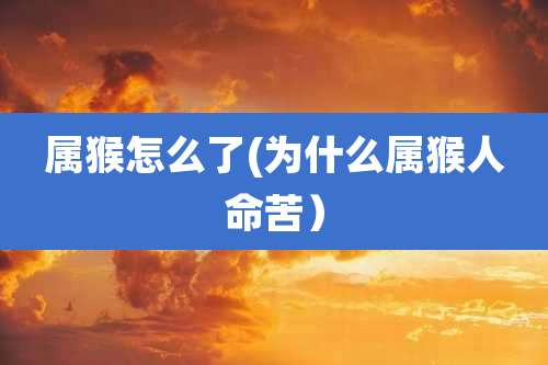 属猴怎么了(为什么属猴人命苦)