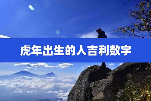 虎年出生的人吉利数字
