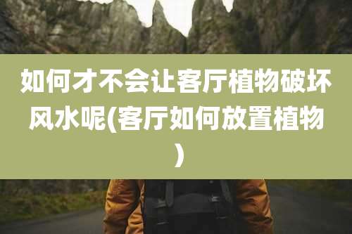 如何才不会让客厅植物破坏风水呢(客厅如何放置植物）