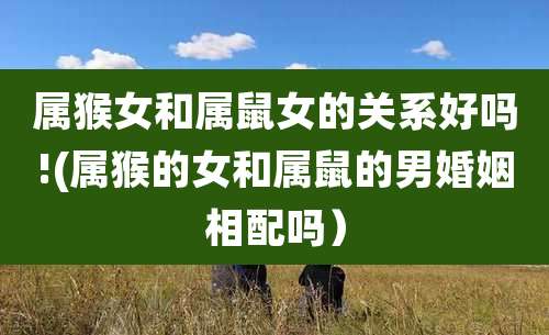 属猴女和属鼠女的关系好吗!(属猴的女和属鼠的男婚姻相配吗)