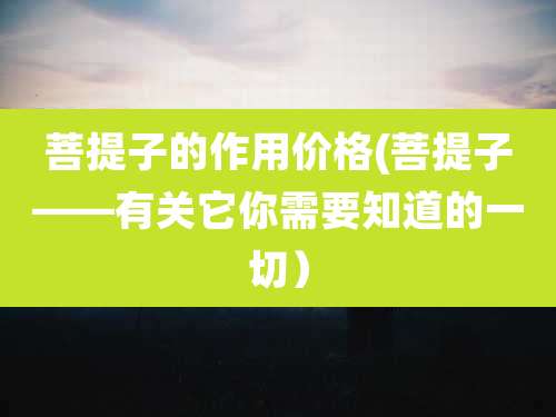 菩提子的作用价格(菩提子——有关它你需要知道的一切)