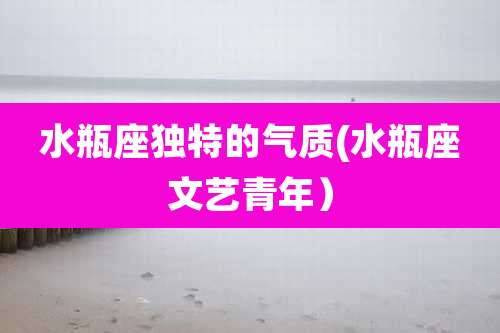 水瓶座独特的气质(水瓶座文艺青年)