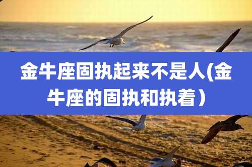 金牛座固执起来不是人(金牛座的固执和执着）