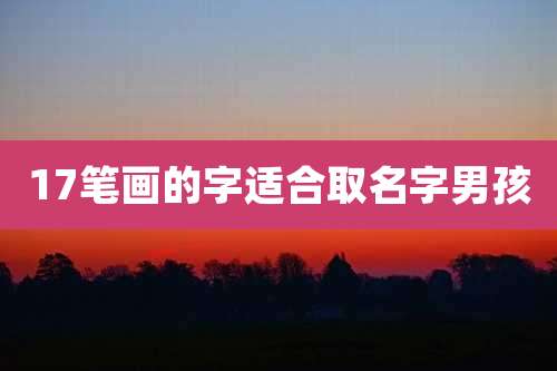 17笔画的字适合取名字男孩