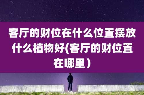 客厅的财位在什么位置摆放什么植物好(客厅的财位置在哪里)