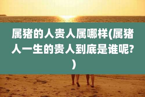 属猪的人贵人属哪样(属猪人一生的贵人到底是谁呢?)