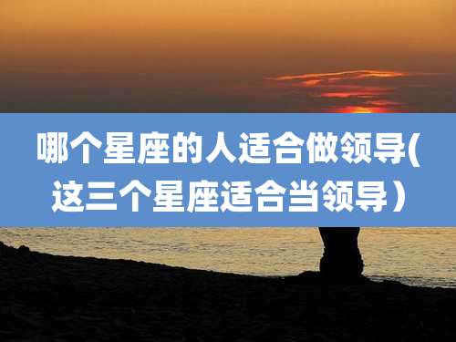 哪个星座的人适合做领导(这三个星座适合当领导)