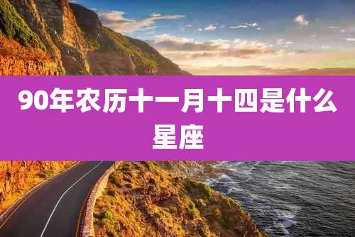 90年农历十一月十四是什么星座
