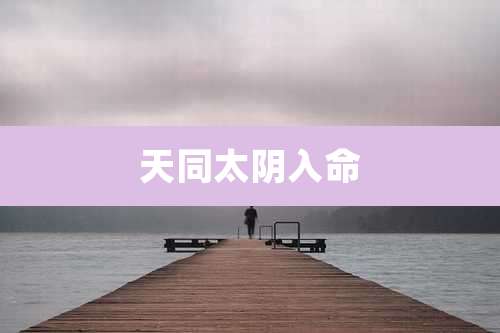 天同太阴入命